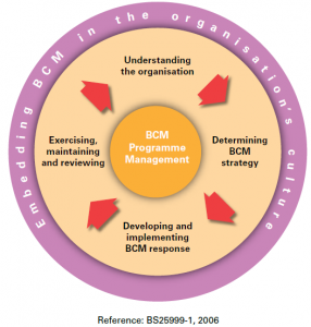 diagram of programme management